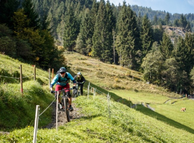 Single Trail Großarltal © TVB Großarltal,Erwin Haiden