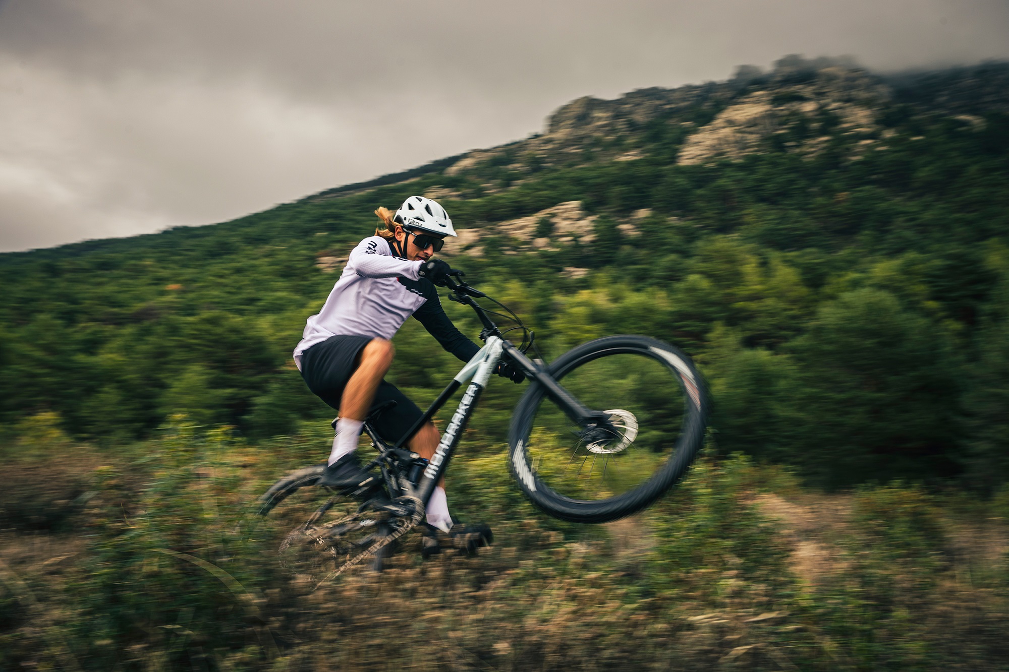 MONDRAKER Lineup